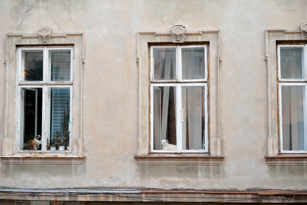 What are signs that windows need to be replaced?