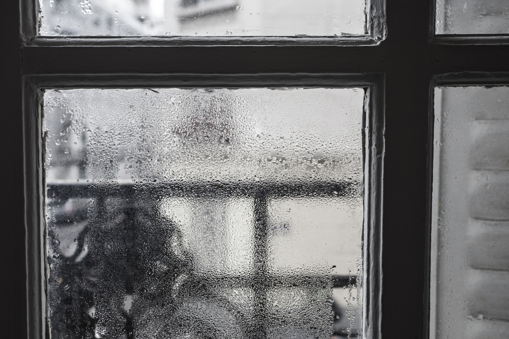 Who offers professional window replacement service in Rhode Island?